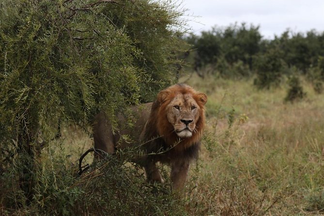 Luxury Okavango Safari – 3 Day