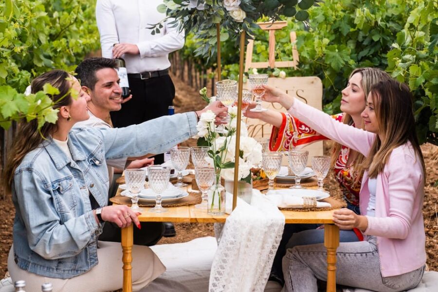 Luxury Picnic Gathering & Wine Tasting at Kerateas Vineyard