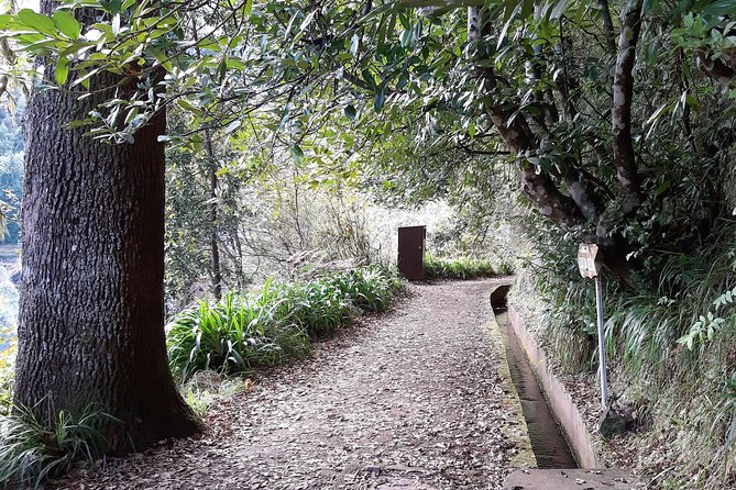 Madeira: Private 1.5-Kilometer Levada Dos Balcões Hike PR11