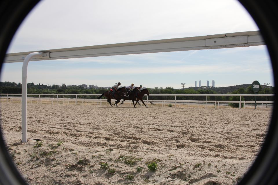 Madrid: Zarzuelas Racecourse Guided Tour - Tour Overview