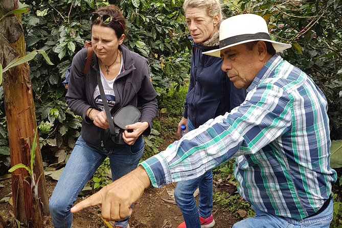 Magical Views of the Coffee Region - Cittaslow Three Towns
