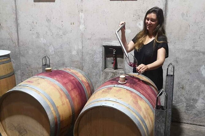 Maipo Valley Boutique Wine Tour: Haras De Pirque + Perez Cruz - Haras De Pirque Winery