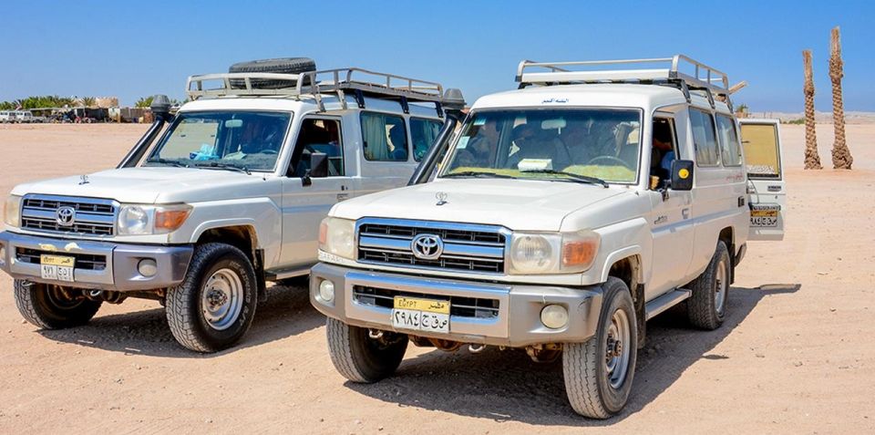 Makadi Bay: Mega Tour Jeep, ATV, Buggy, Camel, Dinner & Show - Tour Overview and Pricing