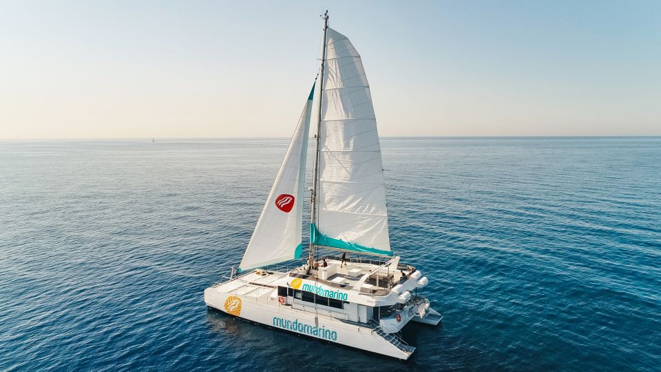 Malaga: Catamaran Sailing Trip With Sunset Option - Activity Overview