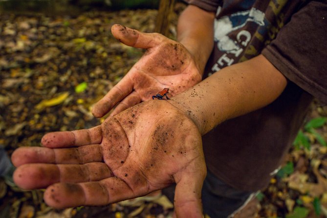 Maleku Indigenous Reserve Tour