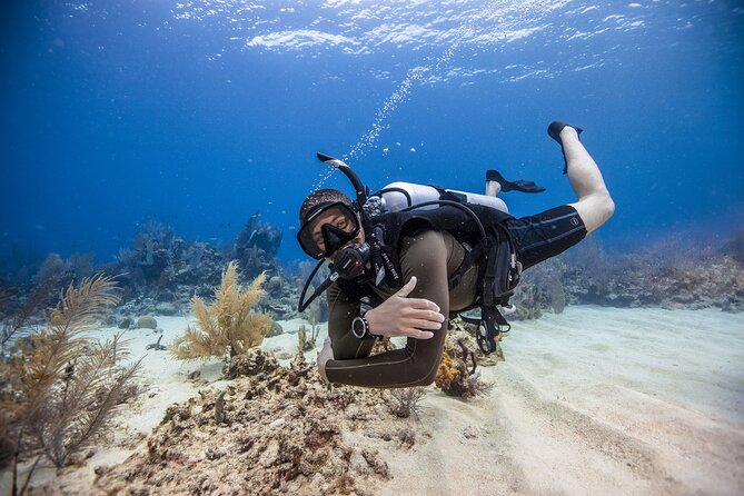 Mallorca PRIVATE Scuba Dive + Photo/Video