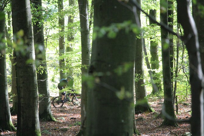 Malmo Bike Rental