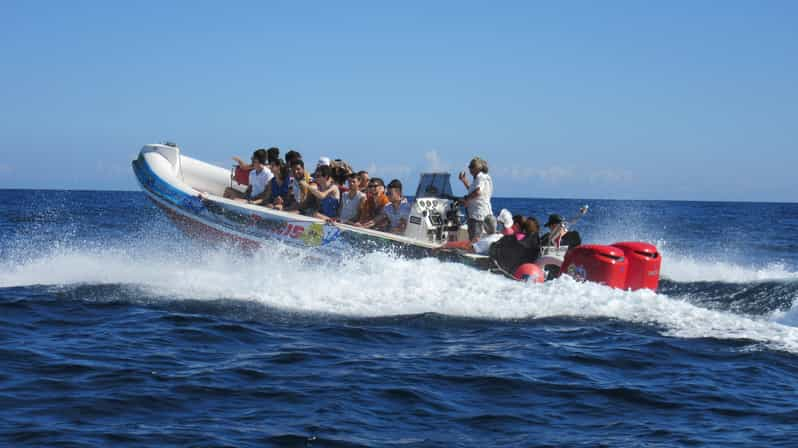 Malta: Blue Lagoon and Comino Caves Speedboat Tour - Overview of the Tour