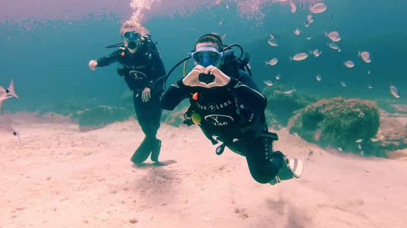 Malta, Scuba Diving With Instructor - Overview of Scuba Diving Experience