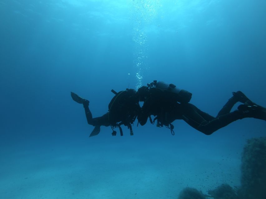 Malta: St. Pauls Bay 1 Day Scuba Diving Course - Course Overview and Pricing