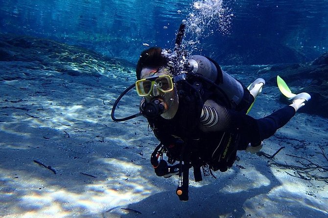 Manatees and Rainbow River by SCUBA or Snorkel