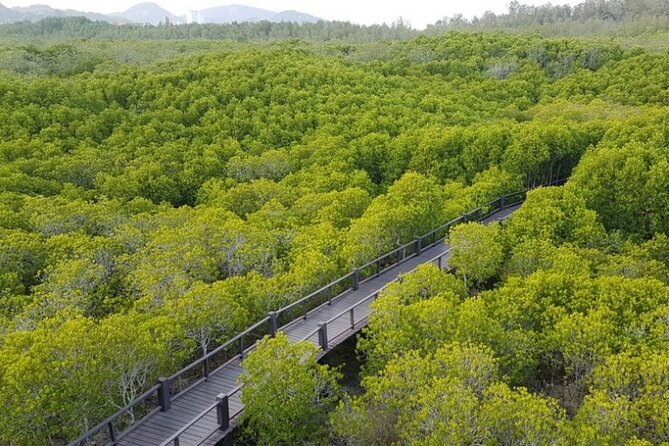 Mangrove Forest Hike and River Boat Ride With Private Guide From Hua Hin
