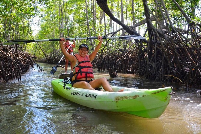 Mangrove Kayaking (Or Boat) Adventure - Overview and Experience