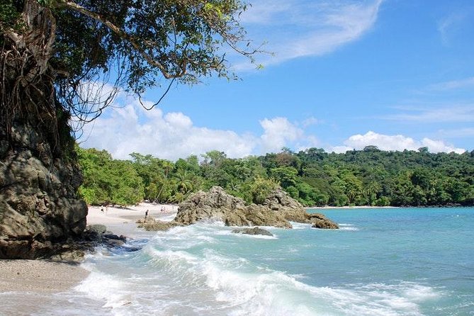 Manuel Antonio National Park One Day Tour From San Jose - Activities and Experiences