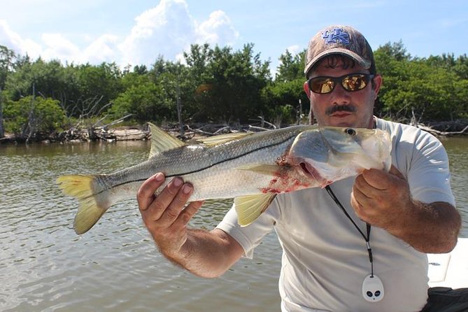4 Best Fishing Tours In Naples