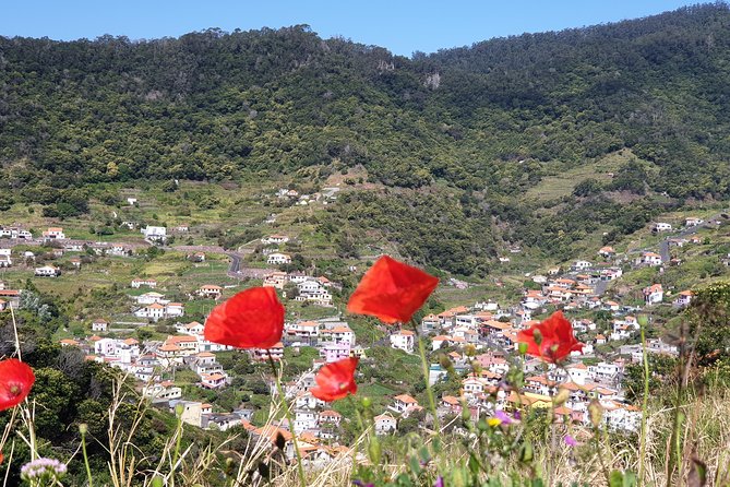 Maroços – Mimosa Valley