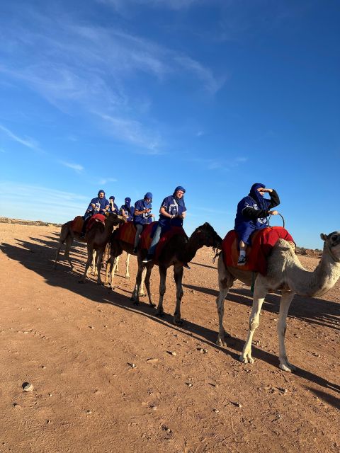 Marrakech : Camel Ride or Quad Bike & Wellness Spa Day Tour