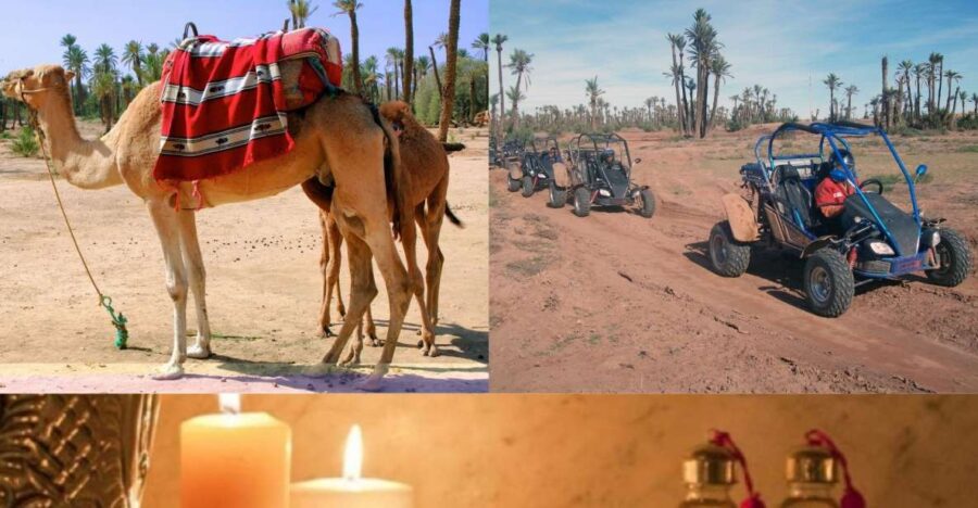 Marrakech: Half-Day Tour With Buggy Ride, Camel Ride and Spa