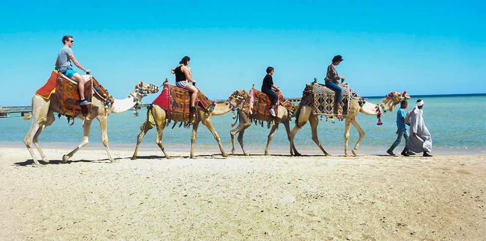 Marsa Alam: Sea and Desert Camel Riding Tour - Tour Overview and Pricing