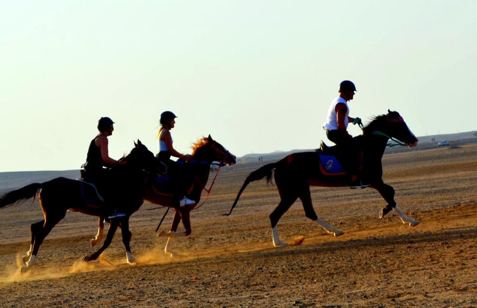 Marsa Alam: Sea and Desert Horse Riding Tour - Tour Overview and Pricing