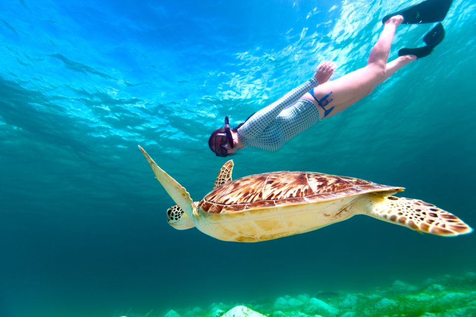 Marsa Alam: Snorkel With Sea Turtles Marsa Mubarak - Overview of Snorkeling Tour