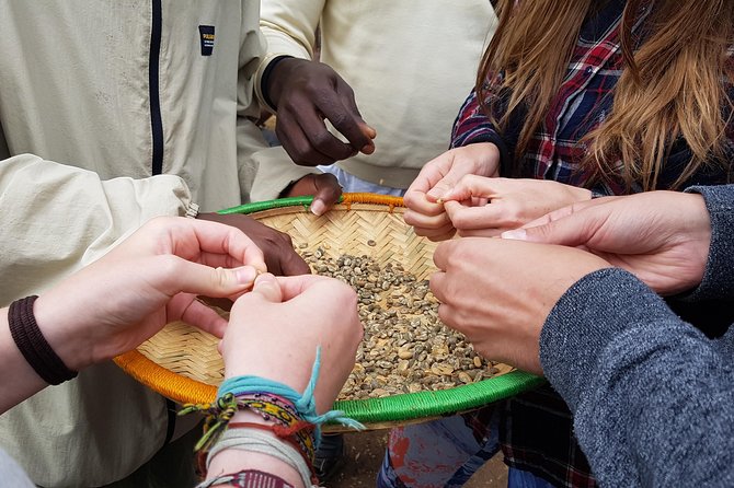 Materuni Waterfall and Coffee Tour, Tanzania
