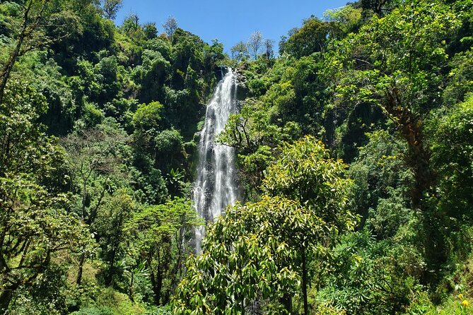 Materuni Waterfall, Coffee Tour and Picnic Hot Lunch