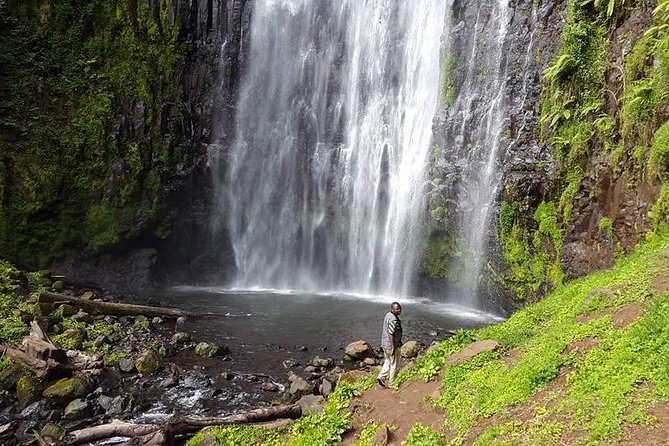 Materuni Waterfall & Coffee Tour