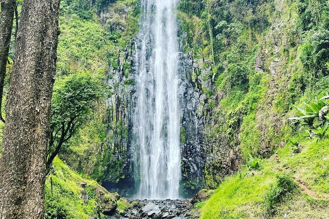 Materuni Waterfalls and Coffee Tour in Moshi