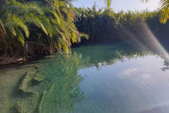 Materuni Waterfalls,Coffee and Chemka Hotspring Tour