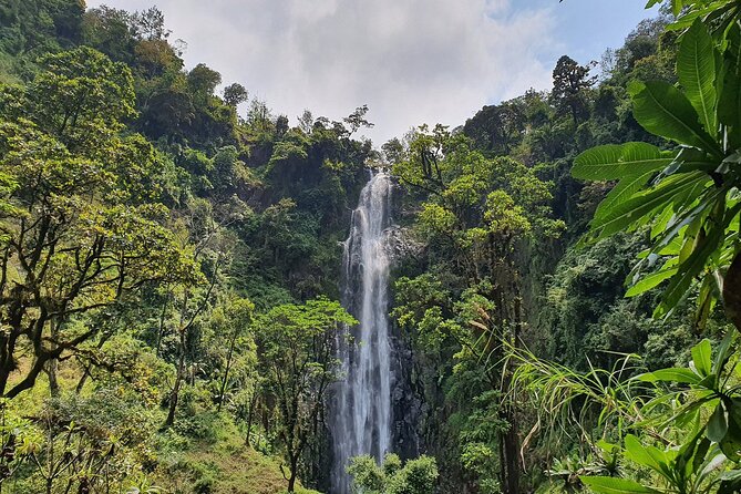 Materuni Waterfalls,Coffee Tour & Kikuletwa(Chemka)Hot Springs