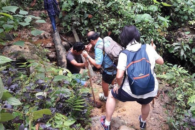 Medan - Bukit Lawang Fullday Tour
