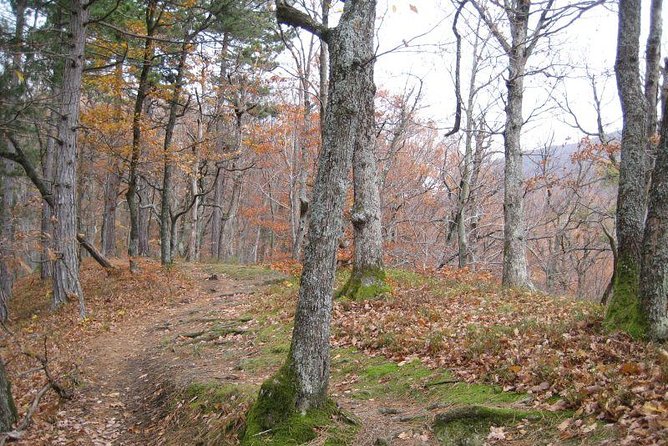 Medvedgrad Fortress: Half Day Guided Walking Tour From Zagreb