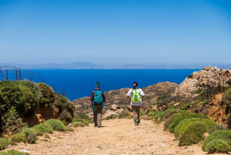 Meet the Trees in Cyclades Hiking (Small Group Experience)