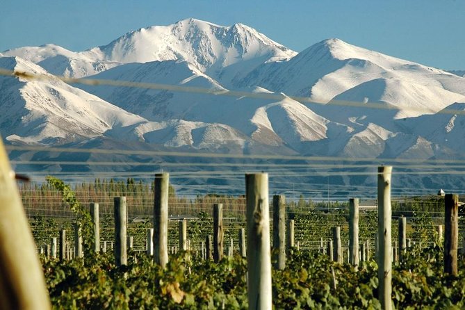 Mendoza City Tour - Tour Overview