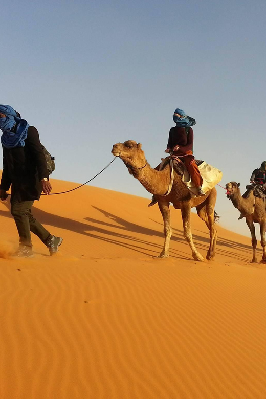 4 Best Tours In Skoura