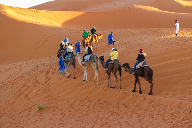 Merzouga Desert Campsite &Camel Excursions