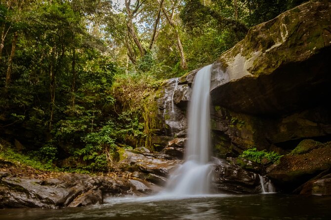Mikumi National Park & Udzungwa Water Falls 3 Days Group Tour