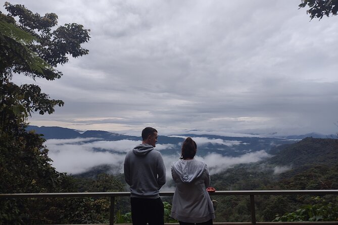 Mindo Cloud Forest Tour: Birds & Nature Experience