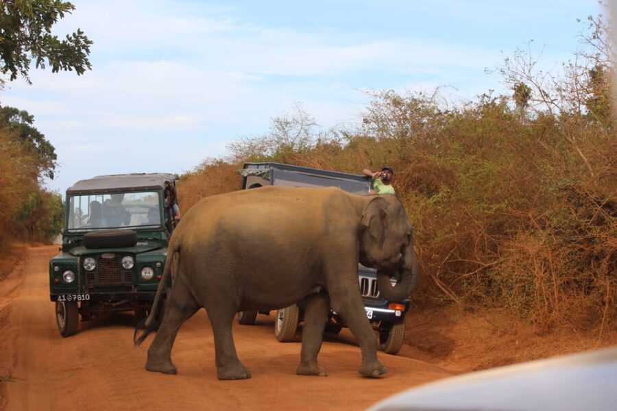Minneriya:Jeep Safari From Colombo