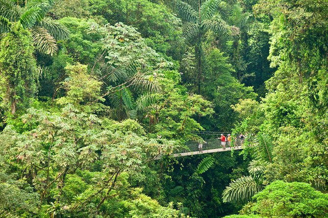 Mistico Hanging Bridges Admission Ticket - Overview of Mistico Park