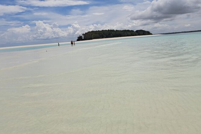 Mnemba Snorkeling, Dolphin and Baraka Natural Aquarium - Tour Overview
