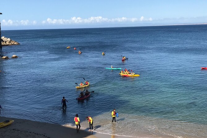 Monterey Bay Full-Day Kayak Rental: Otters, Seals and Sea Lions