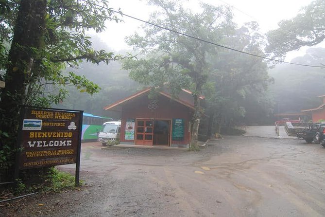 Monteverde Cloud Forest Reserve Guided Walk
