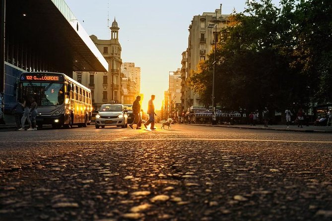 Montevideo Private City Tour With Dinner Included and Tango Show