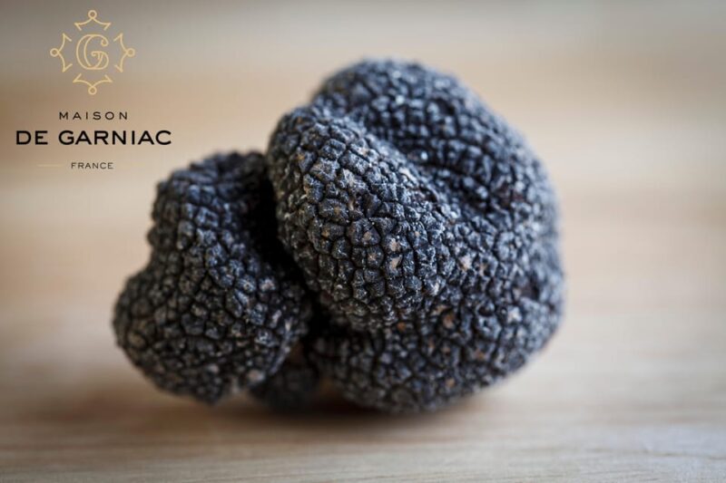 Montpellier: Full Day Truffles and Chateauneuf-Du-Pape Wines - Wine Tasting Experience