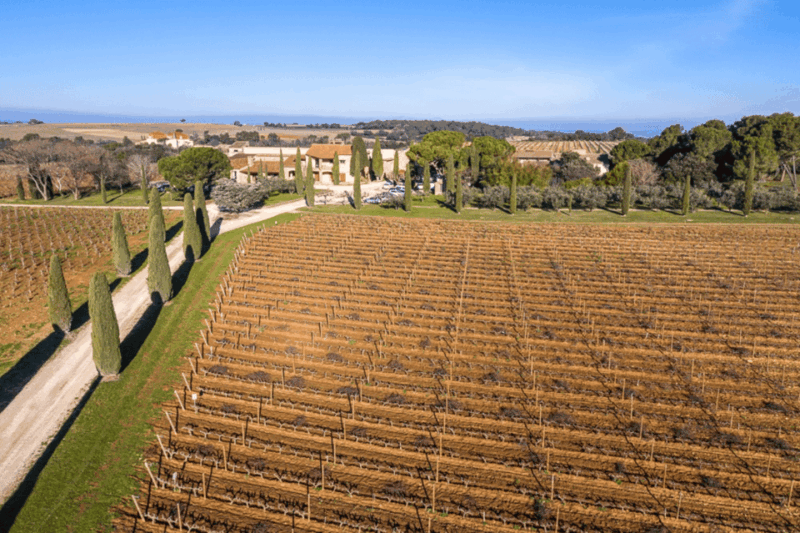 Montpellier: Full Day Truffles and Chateauneuf-Du-Pape Wines - Itinerary Details