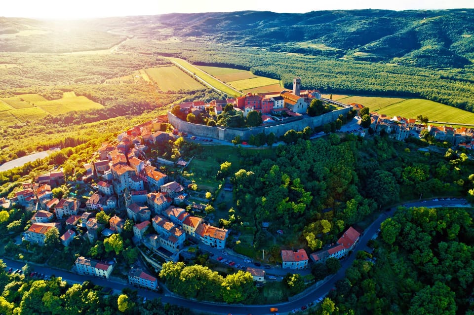 Motovun: the Trail of Giants Hiking Tour & Fritule Tasting - Tour Overview