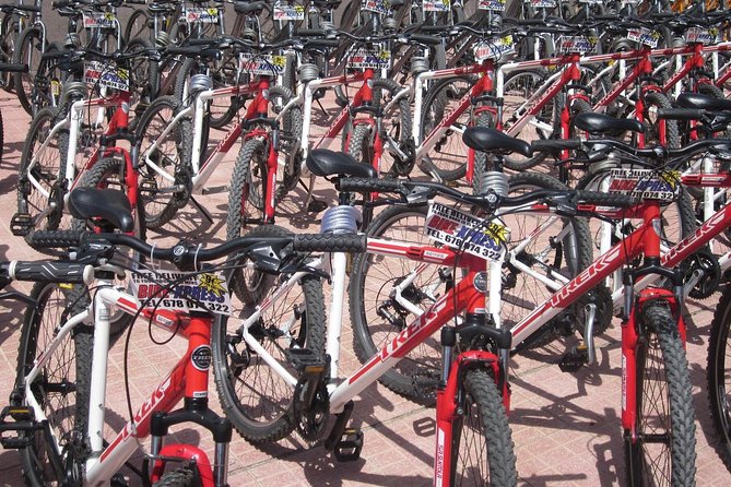 Mountain Bike Rental Tenerife - Explore Tenerifes Wild Beauty