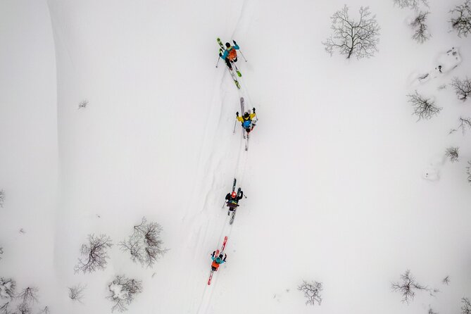 Mountain Ski and Splitboard Day in Tierra Del Fuego - Overview of the Days Activities